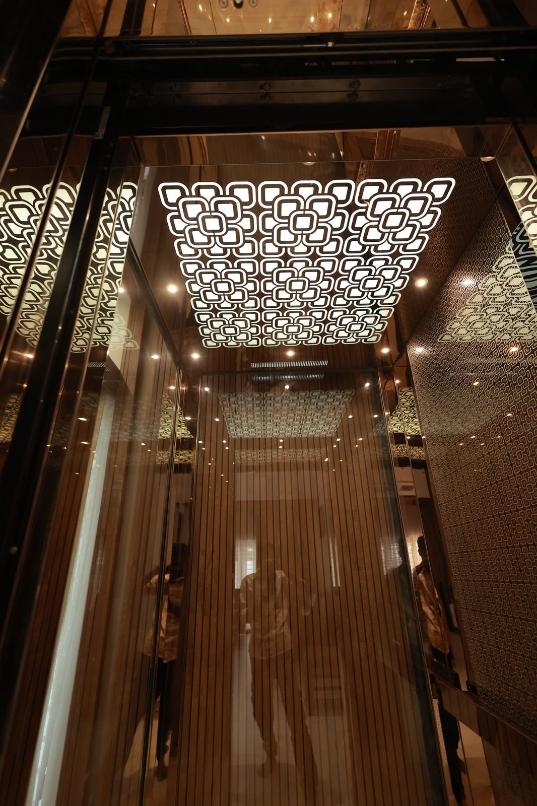 Rose Gold Luxury Home Elevator